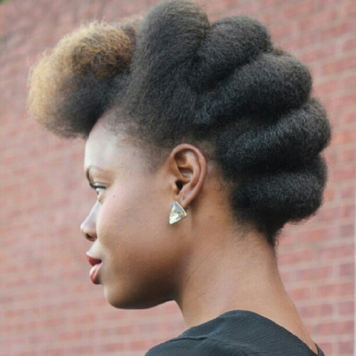 Natural Hair Updo, Hairstyles for natural hair, hairstyles for naturally curly hair, black updo hairstyles, updo hairstyles for black hair, updo hairstyles for natural hair, natural updo hairstyles, natural hair hairstyles, natural curly hairstyles, natural hairstyle updo, protective hairstyles for black women, protective hairstyles for natural black hair, protective natural hairstyle, easy protective styles for natural hair, easy protective styles, easy protective hairstyles, Tamika Fletcher, Natural Hair Blogger, Natural Hair Bloggers, Black Bloggers, Houston Bloggers, Natural Resources Hair Salon