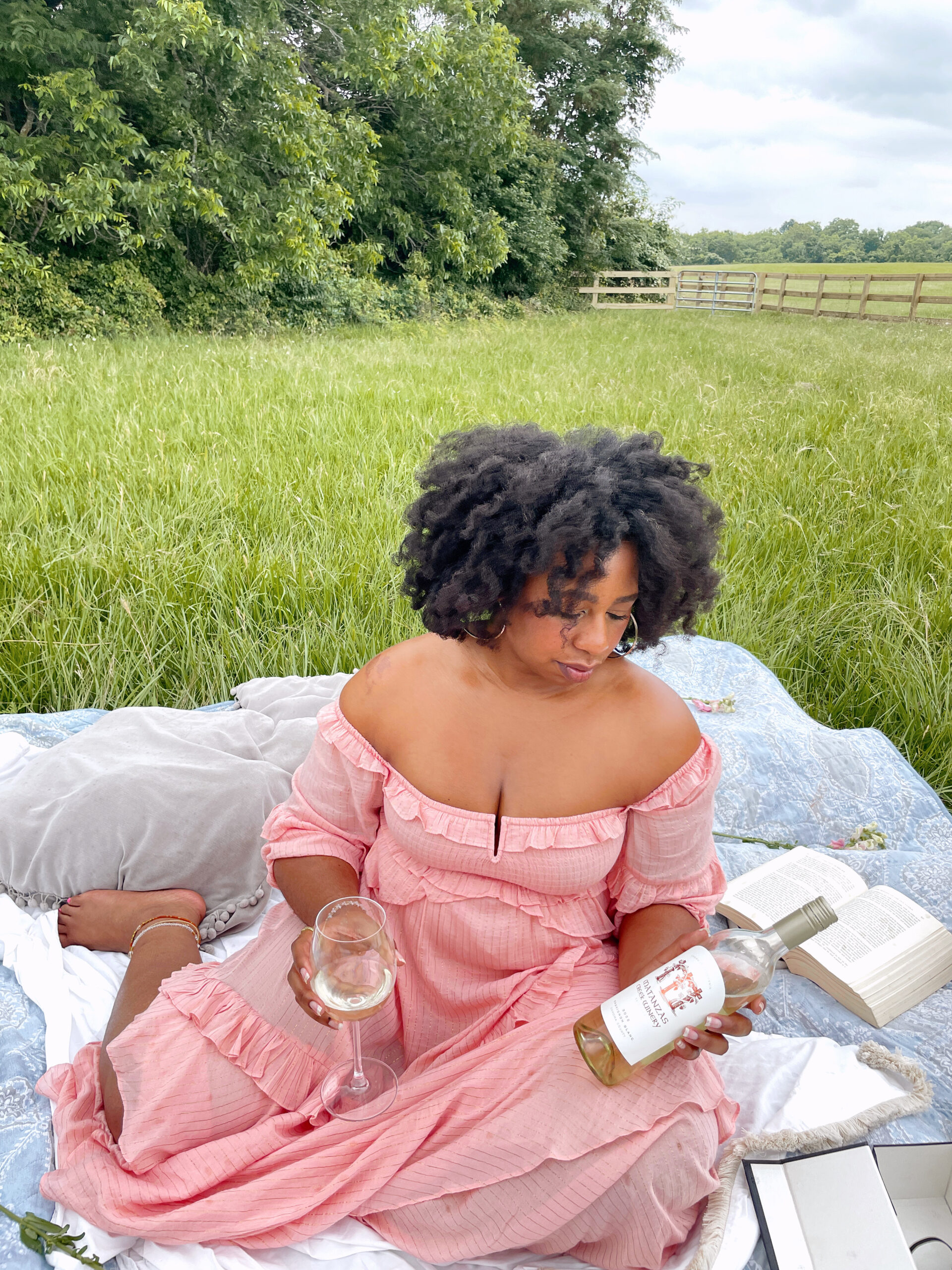 matanzas creek sauvignon blanc review, wineries in Sonoma County California, best sonoma county wineries to visit