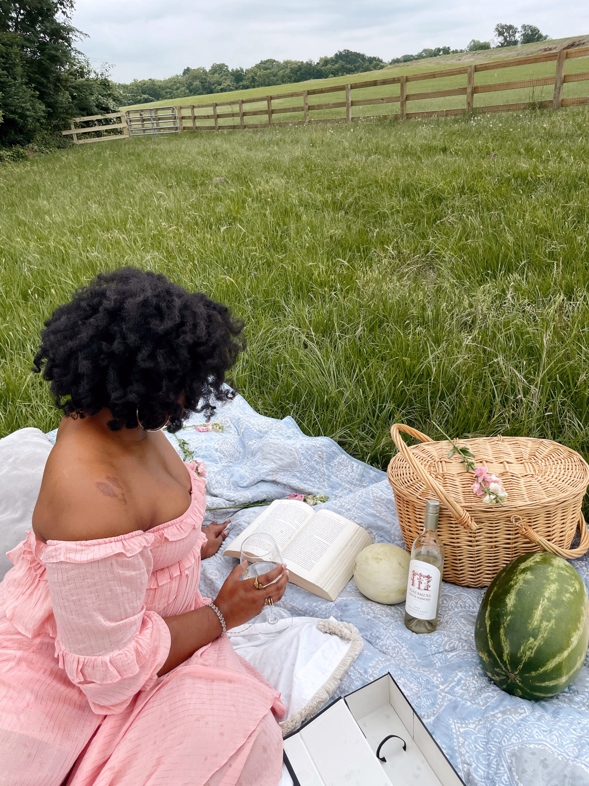 matanzas creek sauvignon blanc review, wineries in Sonoma County California, best sonoma county wineries to visit