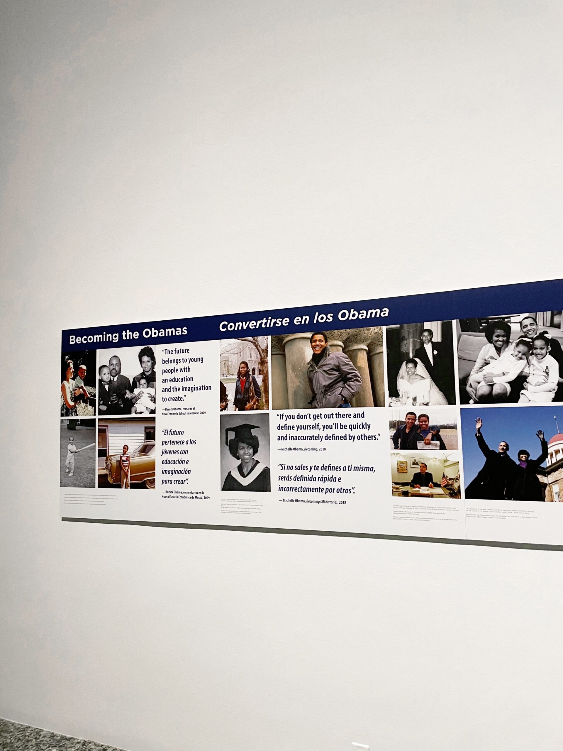 obama portraits tour, Obama portraits tour houston, things to do in Houston, What to do in Houston, Museum of Fine Arts Houston