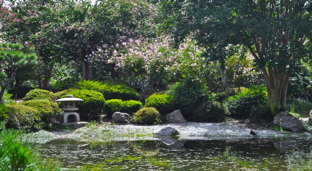 Valentine's Day Date Ideas Houston, What to do in Houston on Valentine's Day, Japanese Gardens in Hermann Park