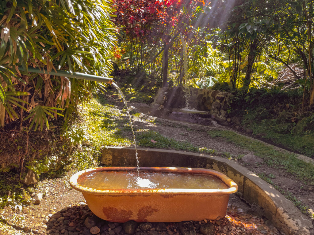 World Creole Music Festival 2022, Discover Dominica, Visit Dominica, Dominica Festivals, Travel Blogger, Coco Bates, Popular Travel Bloggers, Black Travel Bloggers, Black Travel Influencers, Trafalgar Falls, Things to do in Dominica, What to do in Dominica, Visiting Dominica