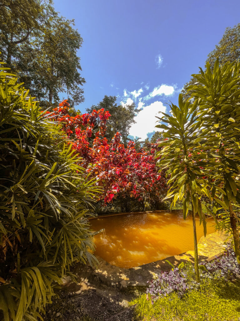 World Creole Music Festival 2022, Discover Dominica, Visit Dominica, Dominica Festivals, Travel Blogger, Coco Bates, Popular Travel Bloggers, Black Travel Bloggers, Black Travel Influencers, Trafalgar Falls, Things to do in Dominica, What to do in Dominica, Visiting Dominica