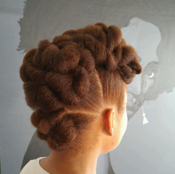 Natural Hair Updo, Hairstyles for natural hair, hairstyles for naturally curly hair, black updo hairstyles, updo hairstyles for black hair, updo hairstyles for natural hair, natural updo hairstyles, natural hair hairstyles, natural curly hairstyles, natural hairstyle updo, protective hairstyles for black women, protective hairstyles for natural black hair, protective natural hairstyle, easy protective styles for natural hair, easy protective styles, easy protective hairstyles, Tamika Fletcher, Natural Hair Blogger, Natural Hair Bloggers, Black Bloggers, Houston Bloggers, Natural Resources Hair Salon