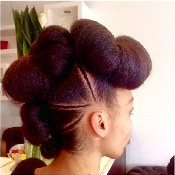Natural Hair Updo, Hairstyles for natural hair, hairstyles for naturally curly hair, black updo hairstyles, updo hairstyles for black hair, updo hairstyles for natural hair, natural updo hairstyles, natural hair hairstyles, natural curly hairstyles, natural hairstyle updo, protective hairstyles for black women, protective hairstyles for natural black hair, protective natural hairstyle, easy protective styles for natural hair, easy protective styles, easy protective hairstyles, Tamika Fletcher, Natural Hair Blogger, Natural Hair Bloggers, Black Bloggers, Houston Bloggers, Natural Resources Hair Salon