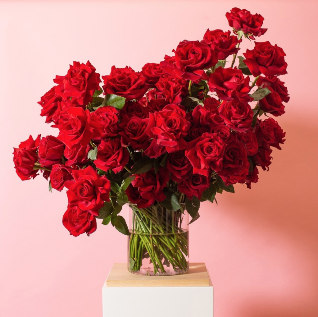 Floom Floral Delivery, Houston Flower Delivery, Houston Valentines Day flower delivery